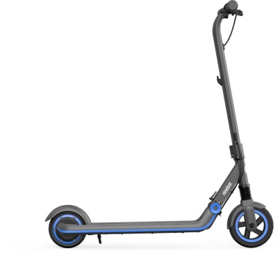 фото Детский электросамокат Ninebot Kickscooter Zing E10