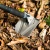 фото Многофункциональная лопата Xiaomi NexTool Shovel KT5524