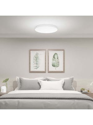 фото Потолочный светильник Xiaomi Mi Smart LED Ceiling Light 00-00048250