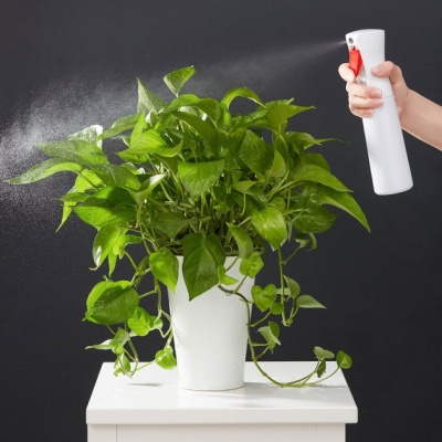 фото Пульверизатор iCLEAN Spray Bottle YG-01