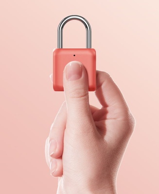 фото Биометрический замок Xiaomi Smart Fingerprint Lock Kitty Red