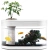 фото Акваферма Xiaomi Descriptive Geometry Amphibious Ecological View Fish Tank фото Акваферма Xiaomi Descriptive Geometry Amphibious Ecological View Fish Tank