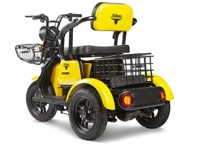 фото Пассажирский Электрический Трицикл Rutrike Бумеранг