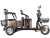 фото Пассажирский Электрический Трицикл Rutrike Караван