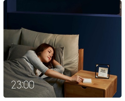 фото Беспроводной выключатель Xiaomi Aqara smart Wall Wireless switch Double key D1 (Одинарный)